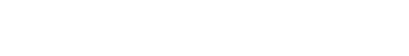 Partner Programmed